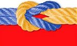 С чего начать изучение CSS и HTML? Мой путь в WEB С чего начать изучение CSS и HTML? Мой путь в WEB