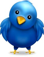 Плагин автоматического постинга в Twitter для Textpattern